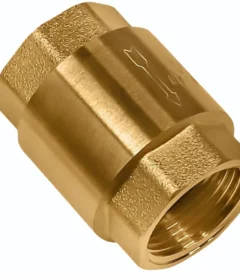 A heavy-duty 1-inch brass check valve showing the female threaded ends and spring-loaded internal mechanism.