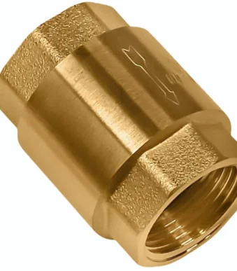A heavy-duty 1-inch brass check valve showing the female threaded ends and spring-loaded internal mechanism.