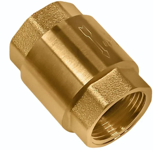 A heavy-duty 1-inch brass check valve showing the female threaded ends and spring-loaded internal mechanism.